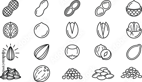 Nut and seed icons, black line drawings, vector food set, healthy snack symbols, culinary elements, organic nutrition illustrations