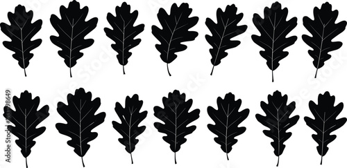 Oak leaf silhouette collection in uniform shapes, botanical illustration, nature pattern, black icons, foliage design, autumn theme, repetition