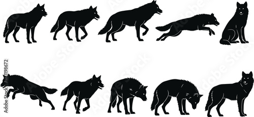Wolf silhouette collection in dynamic poses, animal motion study, wild behavior, black icons, nature illustration, anatomy reference, wildlife
