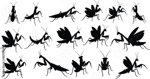 Praying mantis silhouette collection in varied poses, insect illustration, entomology reference, defensive stance, wings spread, nature study, black icons