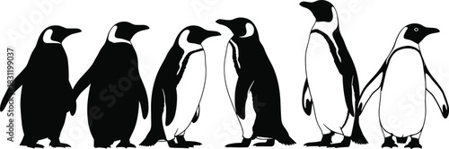 Penguin silhouette set, black vector icons, standing walking poses, bird anatomy, arctic wildlife, nature illustration, zoology design