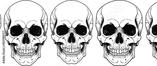 Human skull silhouette set, anatomy illustration, forensic reference, black vector