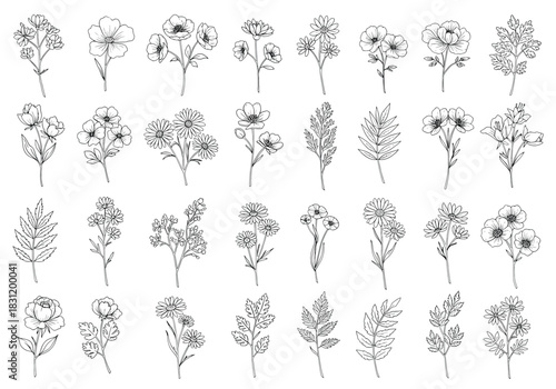 Hand-drawn floral sketches collection featuring varied wildflowers and leaves, black ink illustrations, nature-inspired botanical designs, digital line art set