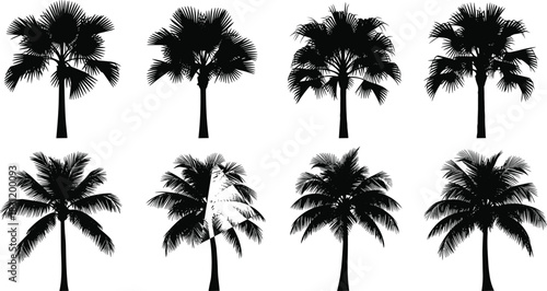 Palm tree silhouette set, tropical foliage, black and white illustration, botanical diversity, exotic plant shapes, landscape design, nature icon grid
