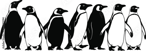 Penguin silhouette row, black and white illustration, cartoon penguins, stylized posture, minimal animal art, cute bird design, arctic theme
