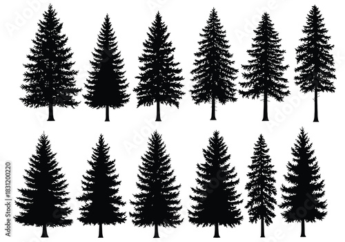 Silhouettes of Pine Trees Vector Set, Nature Illustration Collection with Various Evergreen Tree Shapes, Graphic Design Elements, Black on White Background