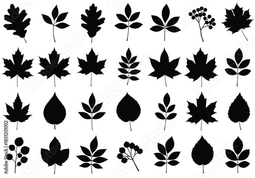 vector Set of diverse leaf silhouettes vector design elements for autumn themes isolated on white background