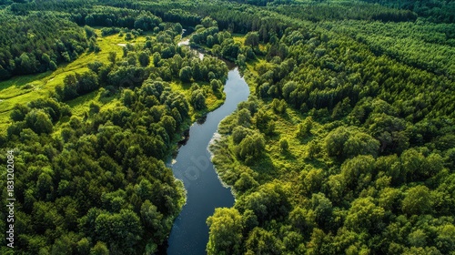 Aerial Perspective of the Brda River Flowing Through Lush Green Forests in Tuchola National Park, Poland. A Wild and Serene Landscape