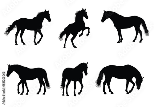 vector Collection of horse silhouettes in various poses vector illustration of equine animals isolated on white background