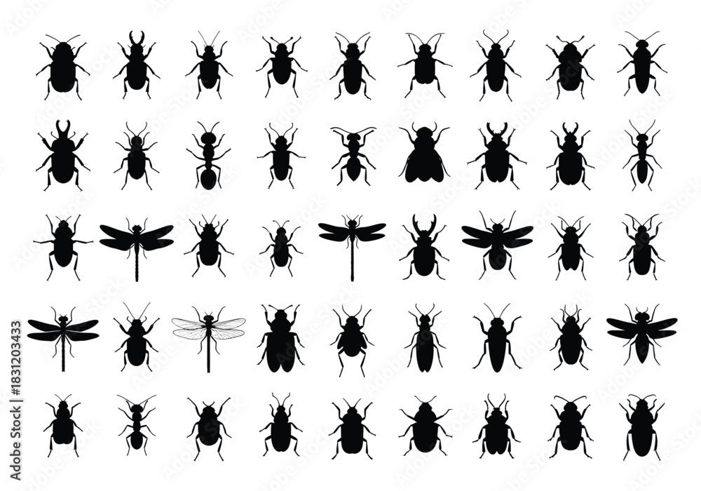 Fototapeta premium vector Set of insect silhouettes vector illustration of various bugs and insects isolated on white background