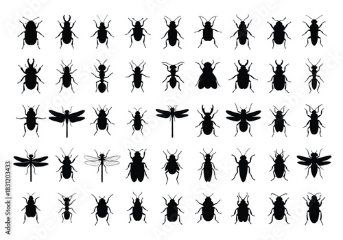 vector Set of insect silhouettes vector illustration of various bugs and insects isolated on white background