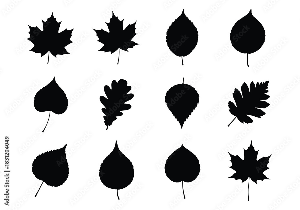 Obraz premium vector Set of various leaf silhouettes black flat vector design elements isolated on white background