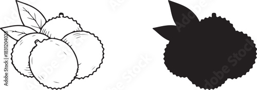 Detailed lychee fruit outline and solid silhouette vector illustration with fresh green leaves, exotic tropical fruit graphic design.