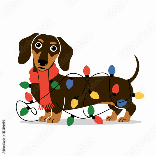 A cute dachshund wrapped in colorful Christmas lights stands cheerfully.