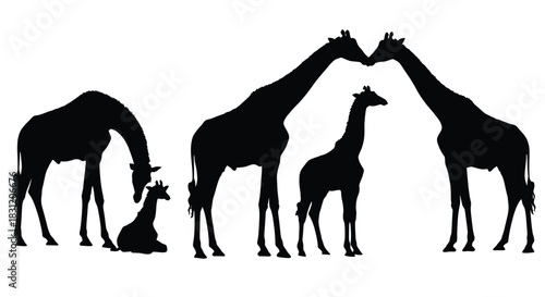 vector Giraffe family silhouette vector illustration of wild animals isolated on white background