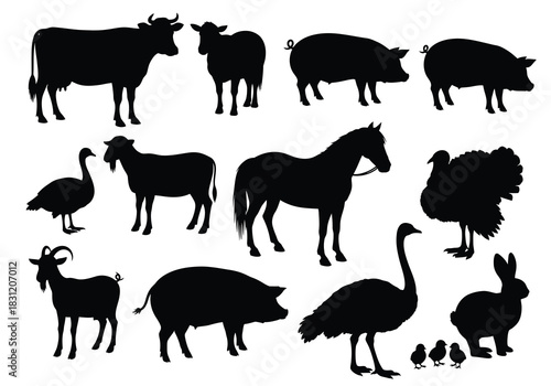 vector Farm animal silhouettes vector illustration of livestock including cow pig horse goat goose turkey ostrich and rabbit isolated on white background