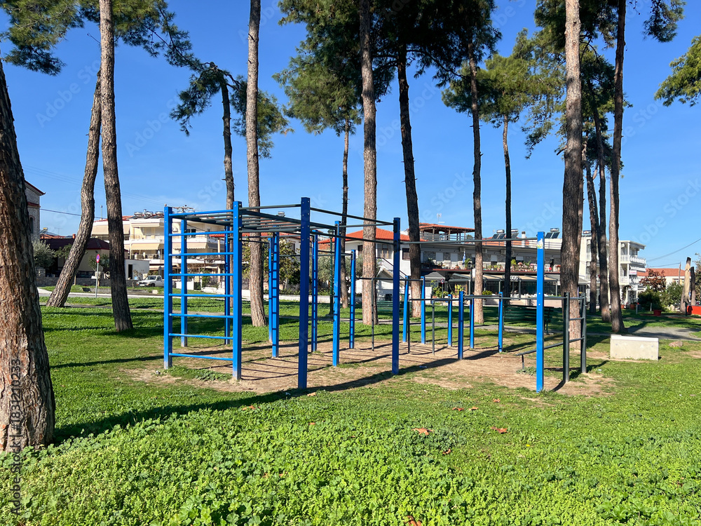 Fototapeta premium Outdoor gym equipment in green park with blue sky and tall pine trees