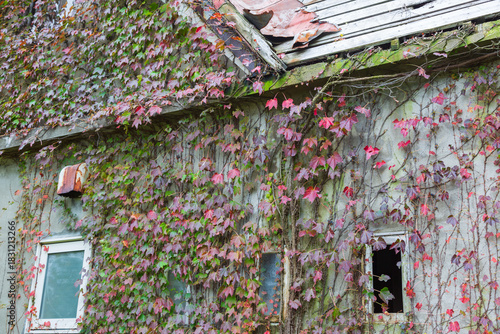 古い建物の秋模様