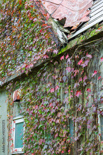 古い建物の秋模様