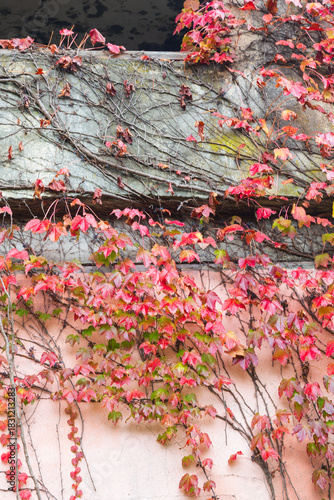 古い建物の秋模様