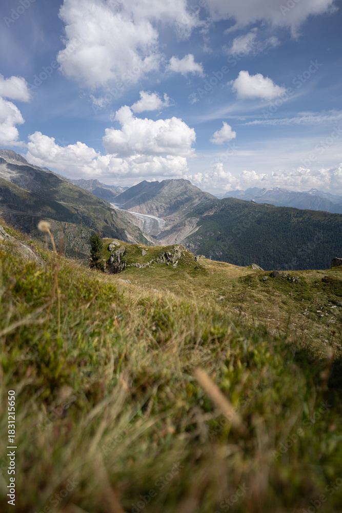 Fototapeta premium Aletschgletscher im Wallis