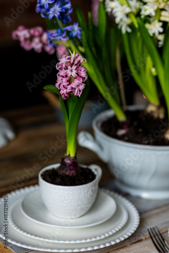 Floral cozy home decor for Easter holiday celebration. Fresh blooming spring hyacinth flowers. Beautiful house interior design, seasonal decoration