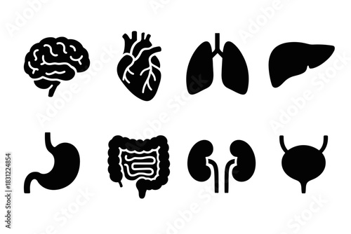 Collection of Black Silhouettes Representing Human Organs on White Background