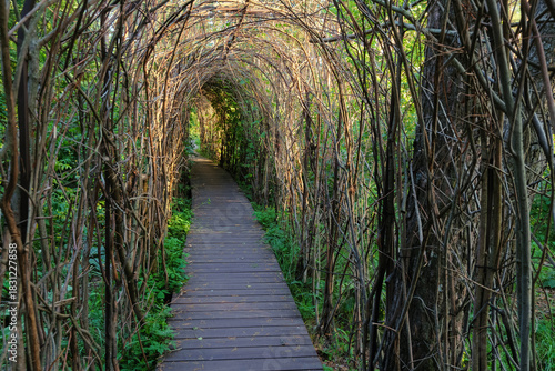 Green plant arch. Garden and park decoration.