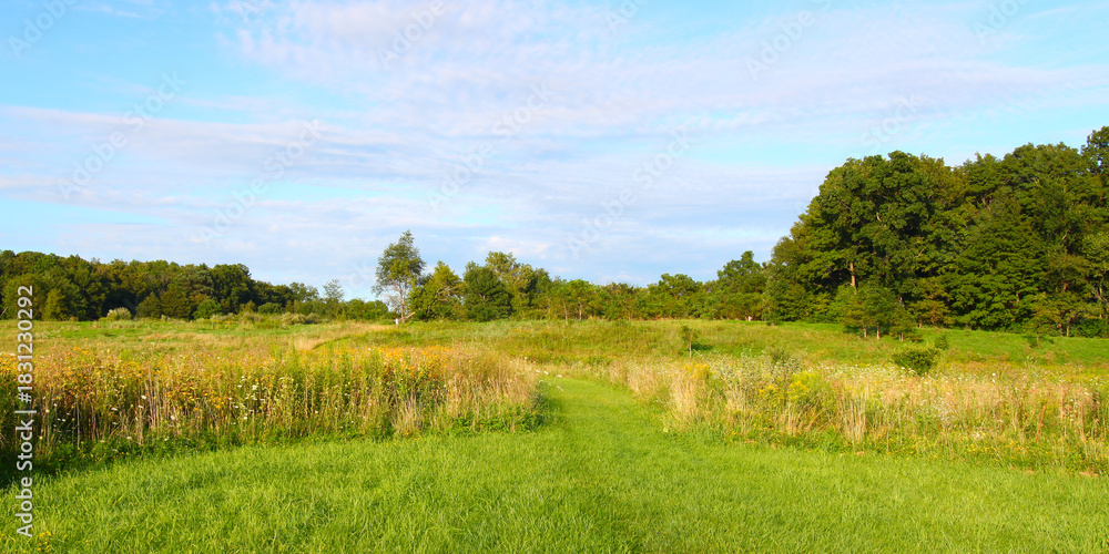 Fototapeta premium Hiking trail through the prairie at Shabbona Lake State Park in Illinois