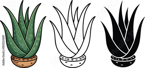 Aloe vera silhouette & Outline and illustration set isolated on transparent background