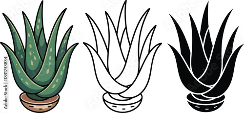 Aloe vera silhouette & Outline and illustration set isolated on transparent background