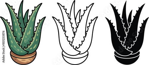 Aloe vera silhouette & Outline and illustration set isolated on transparent background