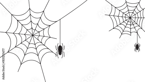 Two black spider webs hang with small spiders against a transparent background for Halloween