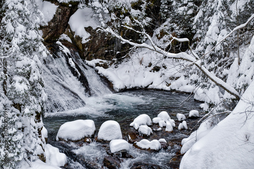 Fototapeta Naklejka Na Ścianę i Meble -  Tatra National Park in Poland.
Snowy winter landscape. Snow covered trees in forest.