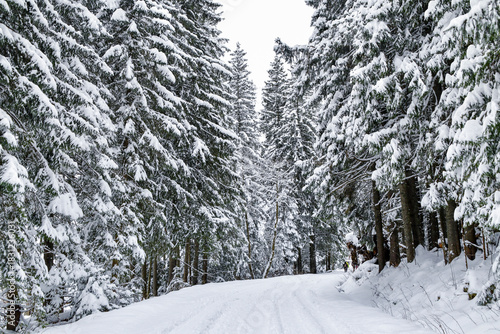 Fototapeta Naklejka Na Ścianę i Meble -  Tatra National Park in Poland.
Snowy winter landscape. Snow covered trees in forest.