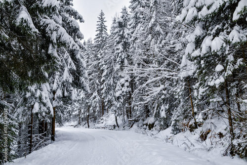 Fototapeta Naklejka Na Ścianę i Meble -  Tatra National Park in Poland.
Snowy winter landscape. Snow covered trees in forest.