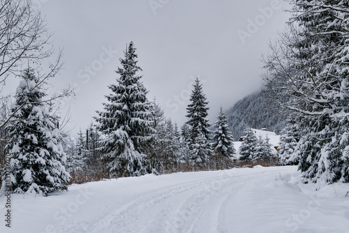 Fototapeta Naklejka Na Ścianę i Meble -  Tatra National Park in Poland.
Snowy winter landscape. Snow covered trees in forest.