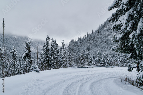 Fototapeta Naklejka Na Ścianę i Meble -  Tatra National Park in Poland.
Snowy winter landscape. Snow covered trees in forest.
