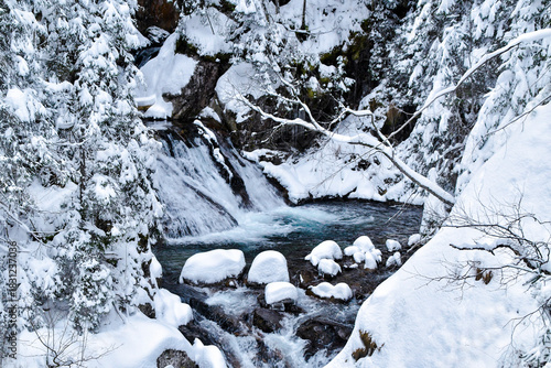 Fototapeta Naklejka Na Ścianę i Meble -  Tatra National Park in Poland.
Snowy winter landscape. Snow covered trees in forest.