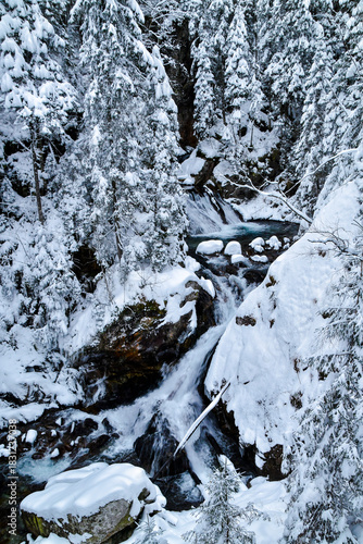 Tatra National Park in Poland.
Snowy winter landscape. Snow covered trees in forest.