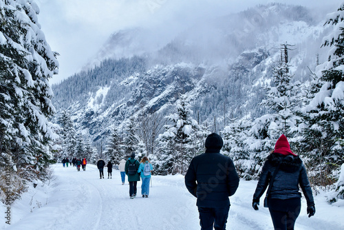 Fototapeta Naklejka Na Ścianę i Meble -  Tatra National Park in Poland.
Snowy winter landscape. Snow covered trees in forest.