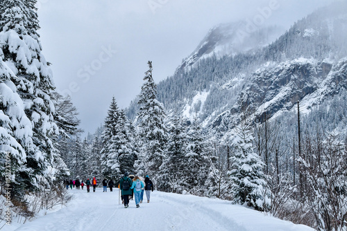 Fototapeta Naklejka Na Ścianę i Meble -  Tatra National Park in Poland.
Snowy winter landscape. Snow covered trees in forest.