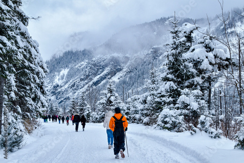 Fototapeta Naklejka Na Ścianę i Meble -  Tatra National Park in Poland.
Snowy winter landscape. Snow covered trees in forest.