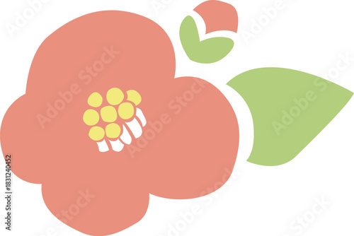 椿の花と葉とつぼみのイラスト
