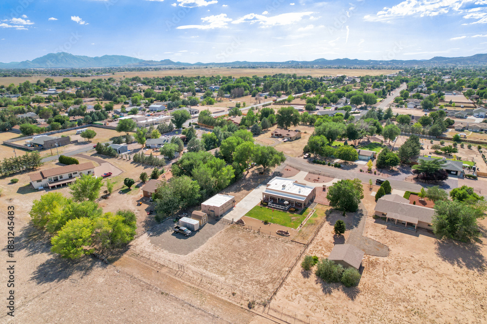 Fototapeta premium Aerial View of Suburban Neighborhood with Spacious Lots