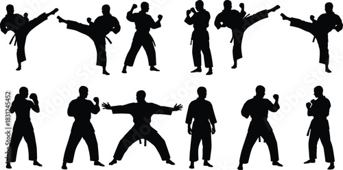 Martial Arts Fighter Silhouettes Set, Karate, Taekwondo, and Kickboxing Poses, High Kick, Defense, and Combat Sport Vector Illustration