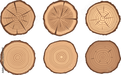 Various tree trunk cross sections with growth rings on a white background