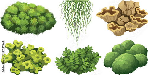 Illustration of various types of cartoon plants on a white background