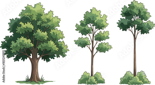 Stylized tree vector set, foliage density comparison, botanical growth forms, nature silhouette illustration, landscape design elements, forest plant art