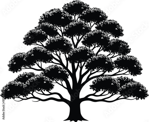 Symmetrical tree silhouette vector, broad canopy illustration, nature growth symbol, artistic foliage design, black white botanical artwork